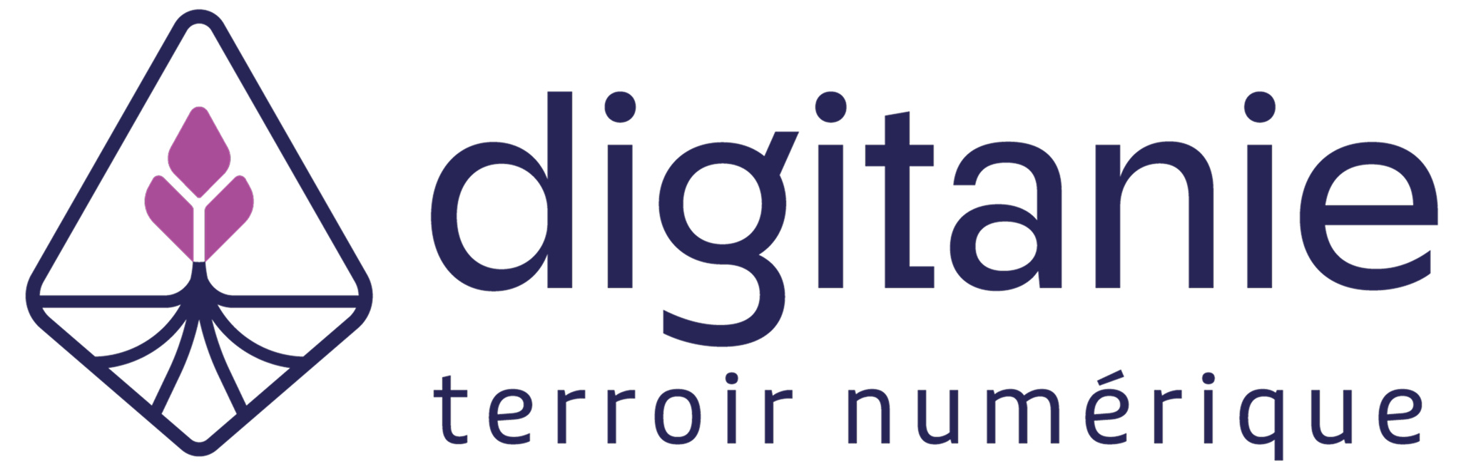 logo digitanie